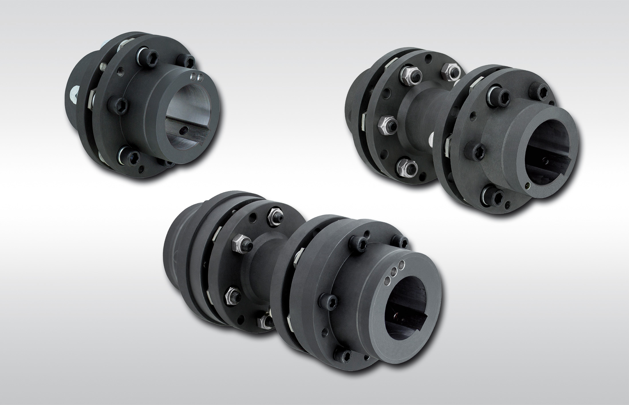 RINGSPAN disc couplings RINGSPANN disc couplings